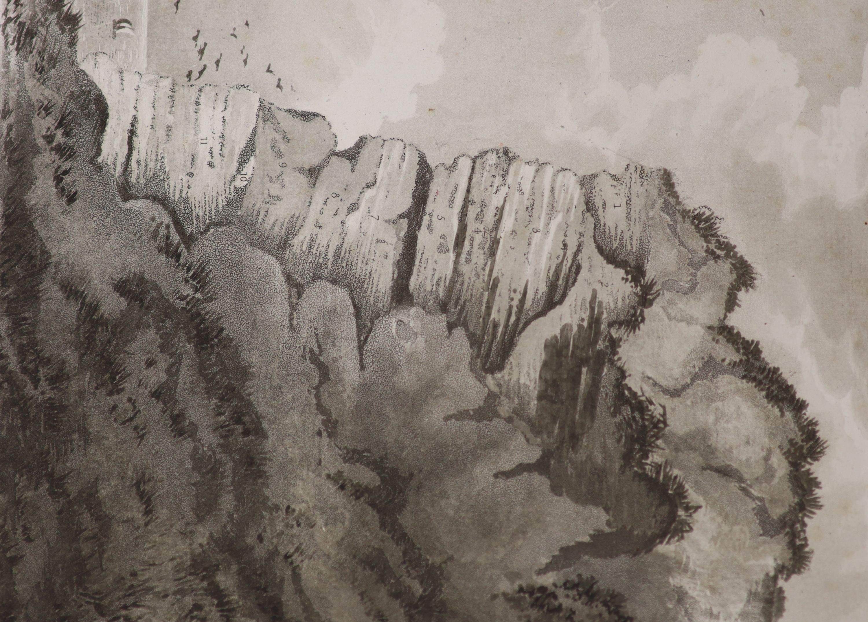 Mantell, Gideon - The Fossils of the South Downs; or Illustrations of the Geology of Sussex. hand-coloured map, 41 engraved plates (2 folded, 3 hand-coloured), half title, subscribers list